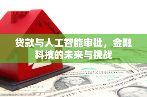 连南贷款与人工智能审批，金融科技的未来与挑战