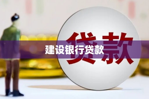 连南建设银行贷款