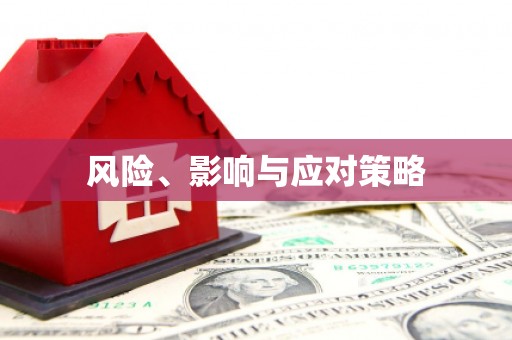连南风险、影响与应对策略