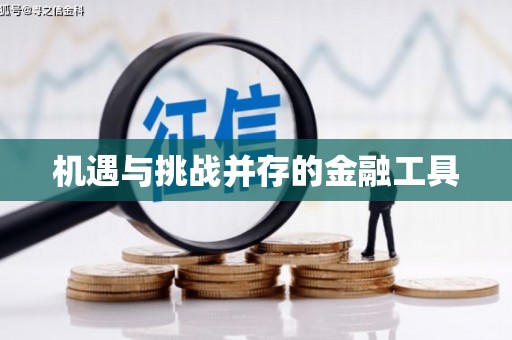 连南机遇与挑战并存的金融工具