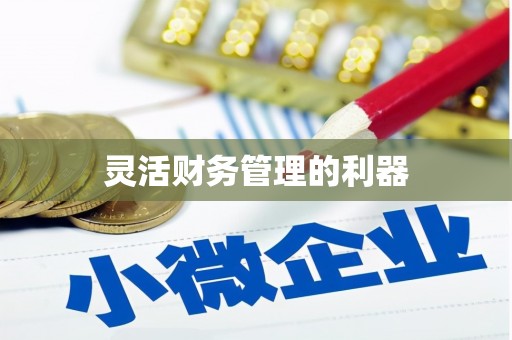 连南灵活财务管理的利器