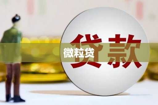 连南微粒贷