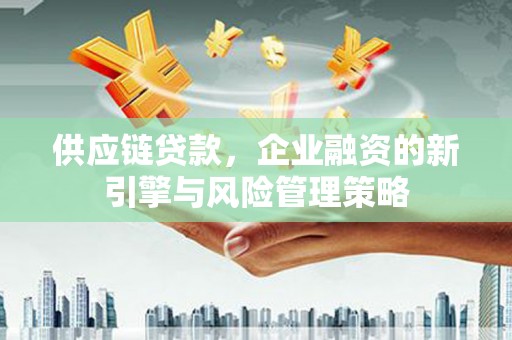 连南供应链贷款，企业融资的新引擎与风险管理策略