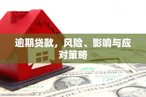 连南逾期贷款，风险、影响与应对策略