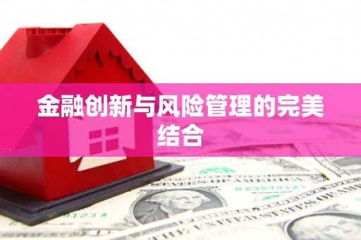 连南金融创新与风险管理的完美结合