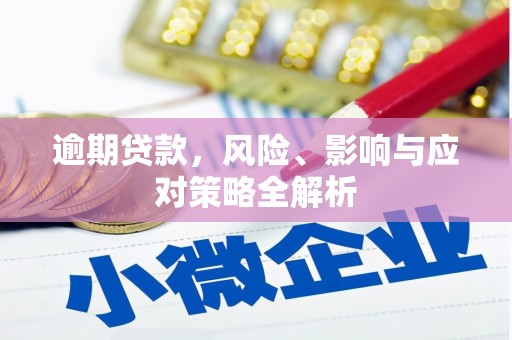 连南逾期贷款，风险、影响与应对策略全解析