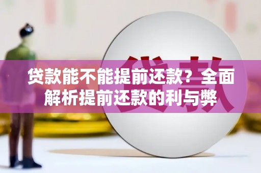连南贷款能不能提前还款？全面解析提前还款的利与弊
