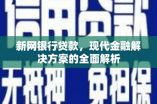 连南新网银行贷款，现代金融解决方案的全面解析