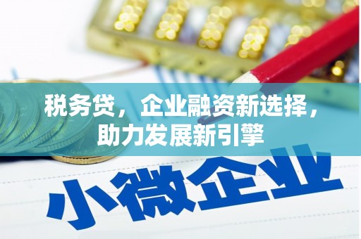 连南税务贷，企业融资新选择，助力发展新引擎