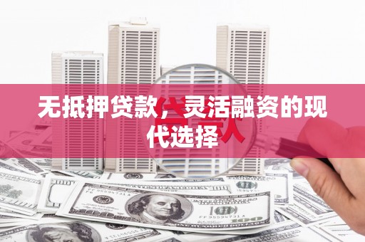 连南无抵押贷款，灵活融资的现代选择