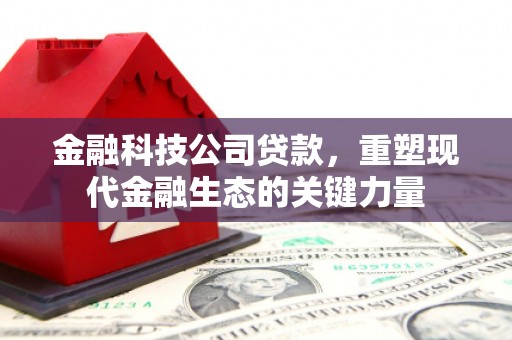 连南金融科技公司贷款，重塑现代金融生态的关键力量