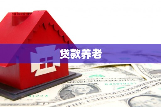 连南贷款养老