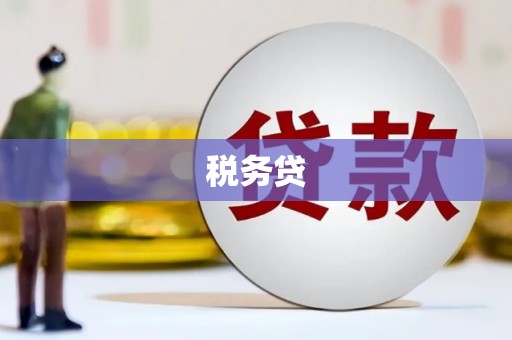 连南税务贷