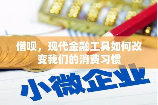 连南借呗，现代金融工具如何改变我们的消费习惯