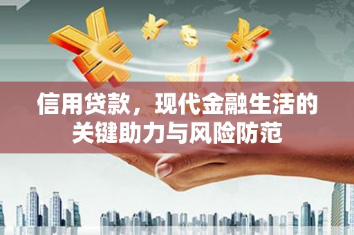 连南信用贷款，现代金融生活的关键助力与风险防范
