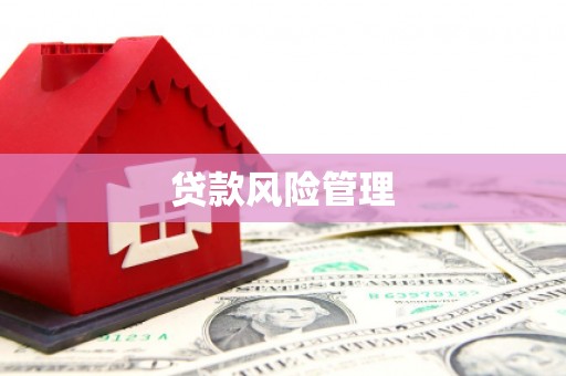 连南贷款风险管理