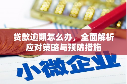 连南贷款逾期怎么办，全面解析应对策略与预防措施