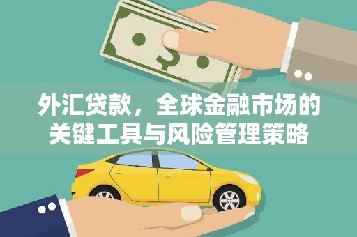 连南外汇贷款，全球金融市场的关键工具与风险管理策略