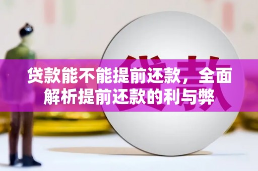 连南贷款能不能提前还款，全面解析提前还款的利与弊