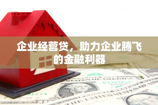 连南企业经营贷，助力企业腾飞的金融利器