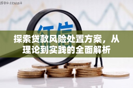 连南探索贷款风险处置方案，从理论到实践的全面解析