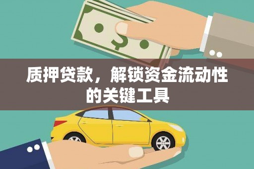 连南质押贷款，解锁资金流动性的关键工具