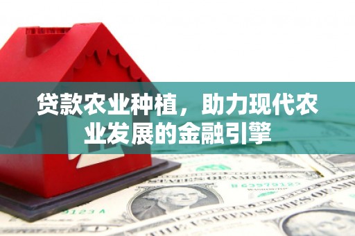 连南贷款农业种植，助力现代农业发展的金融引擎
