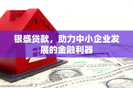 连南银盛贷款，助力中小企业发展的金融利器