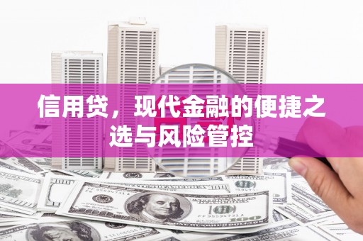 连南信用贷，现代金融的便捷之选与风险管控