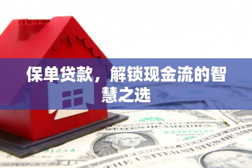 连南保单贷款，解锁现金流的智慧之选