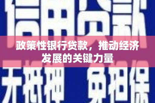 连南政策性银行贷款，推动经济发展的关键力量