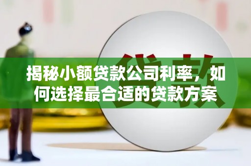 连南揭秘小额贷款公司利率，如何选择最合适的贷款方案