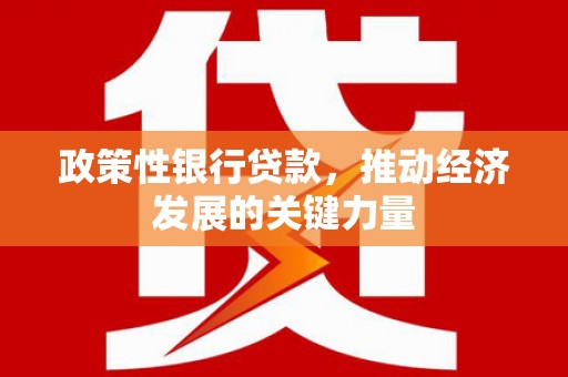 连南政策性银行贷款，推动经济发展的关键力量