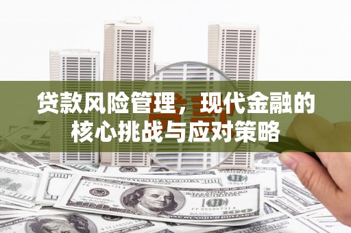 连南贷款风险管理，现代金融的核心挑战与应对策略