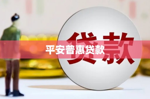 连南平安普惠贷款