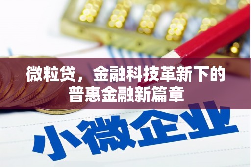 连南微粒贷，金融科技革新下的普惠金融新篇章