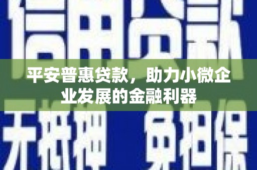 连南平安普惠贷款，助力小微企业发展的金融利器