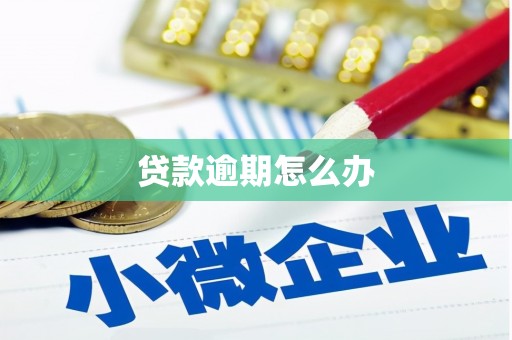 连南贷款逾期怎么办