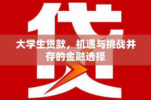 连南大学生贷款，机遇与挑战并存的金融选择