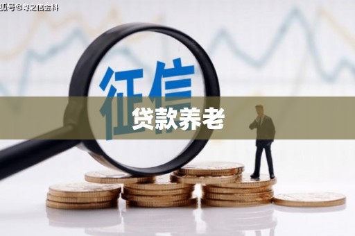 连南贷款养老