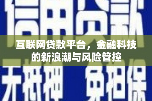 连南互联网贷款平台，金融科技的新浪潮与风险管控