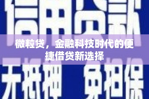 连南微粒贷，金融科技时代的便捷借贷新选择