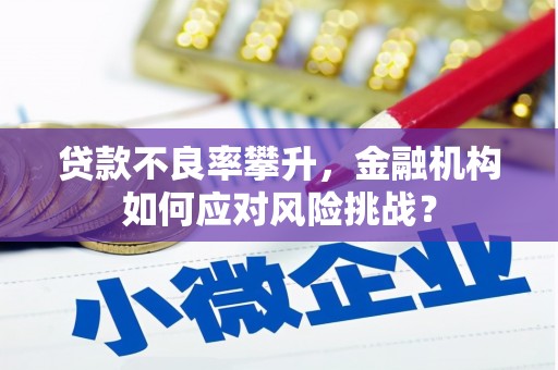 连南贷款不良率攀升，金融机构如何应对风险挑战？