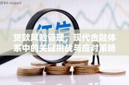 连南贷款风险管理，现代金融体系中的关键挑战与应对策略