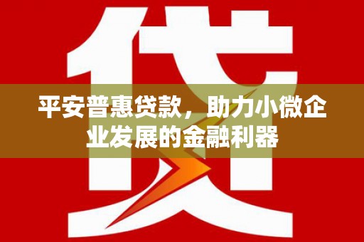 连南平安普惠贷款，助力小微企业发展的金融利器