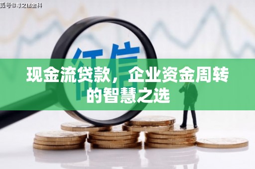 连南现金流贷款，企业资金周转的智慧之选