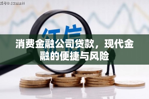 连南消费金融公司贷款，现代金融的便捷与风险