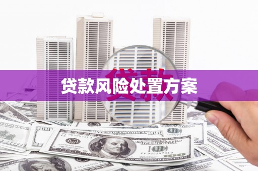 连南贷款风险处置方案