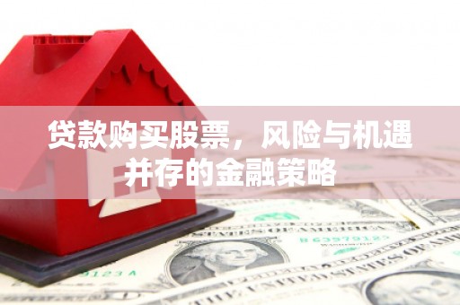 连南贷款购买股票，风险与机遇并存的金融策略