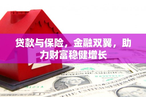 连南贷款与保险，金融双翼，助力财富稳健增长